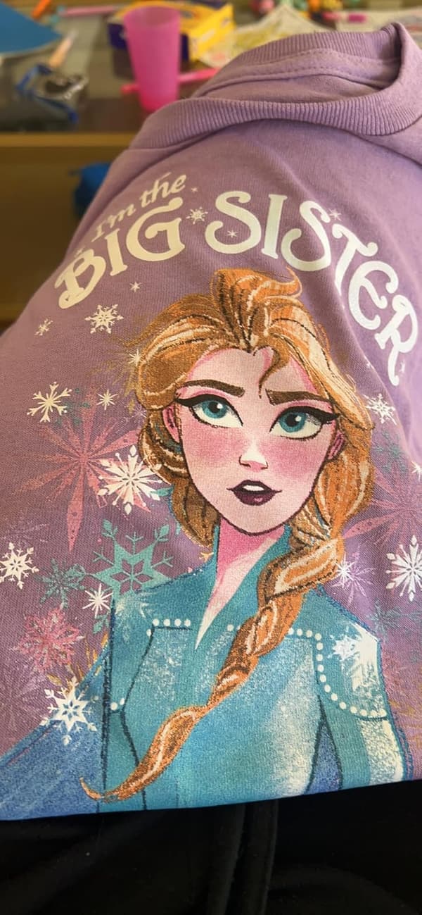 Big Sister Frozen Elsa Youth T-Shirt for Kids