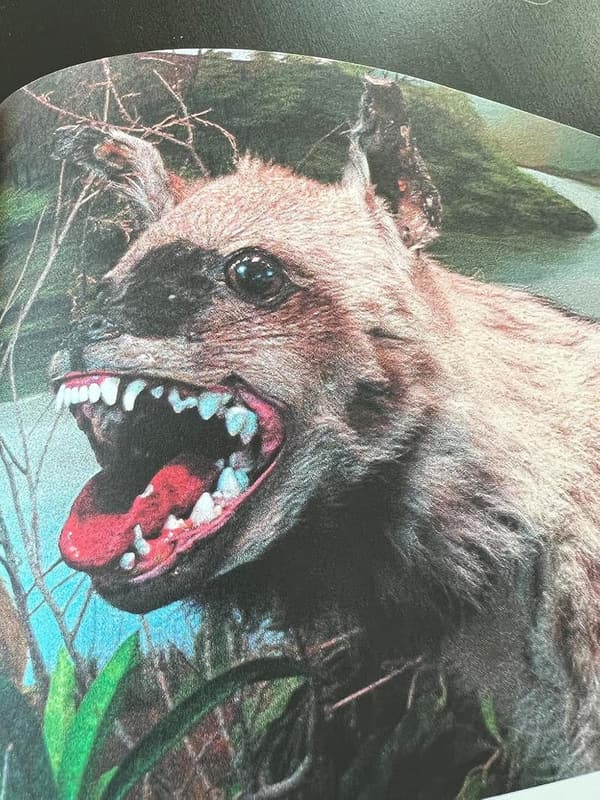 Unique Crap Taxidermy Art Decoration