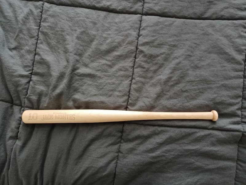 Personalized Mini Baseball Bat with Team and Player Name