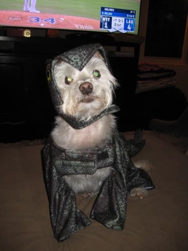 Stegosaurus Dog Costume for Adults - Dark Green, Medium