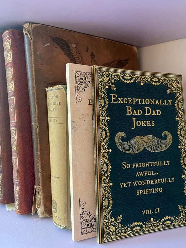 Dad Jokes Book: Exceptionally Bad Humor, Vol II