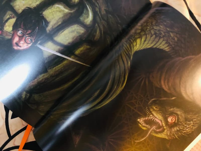 Illustrated Edition of Harry Potter and the Chamber of Secrets