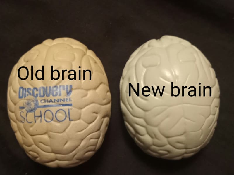 Gray Brain Stress Relief Toy by Ariel