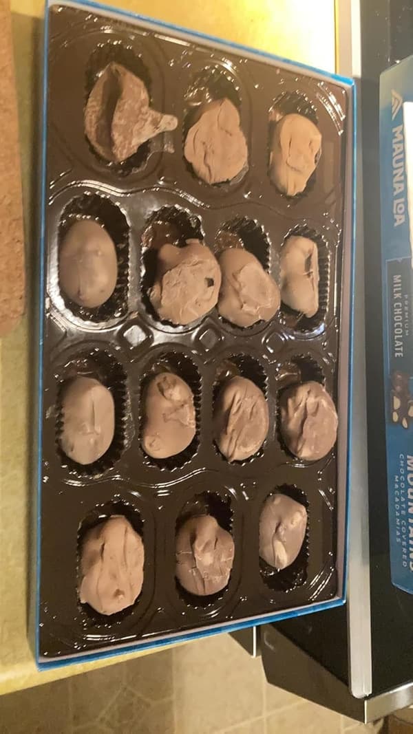 Milk Chocolate Covered Macadamia Nuts - 6 oz Bag
