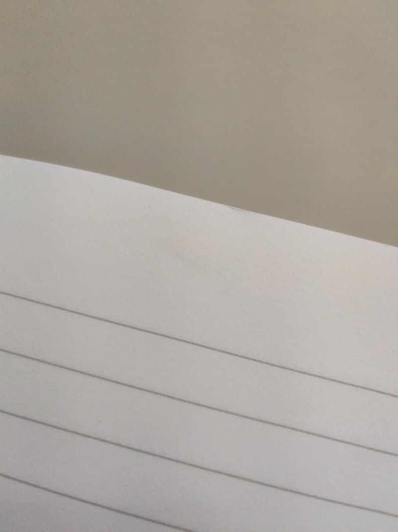 Funny Work Notebook: 