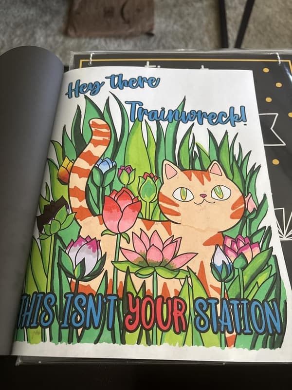 Funny Adult Coloring Book for Stress Relief - 
