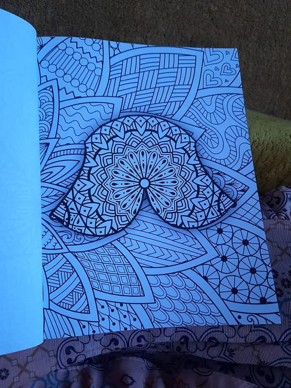Adult Coloring Book: Stress-Relieving Mandalas