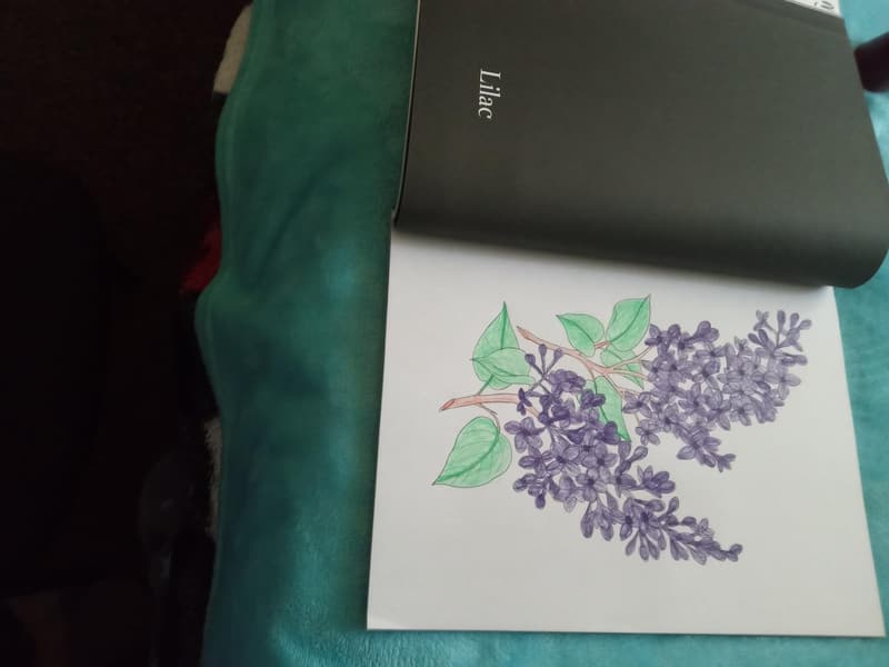 Bloom Adult Coloring Book for Women: 50+ Relaxing Floral Prints