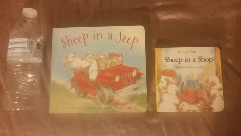 Sheep in a Shop Board Book for Young Readers
