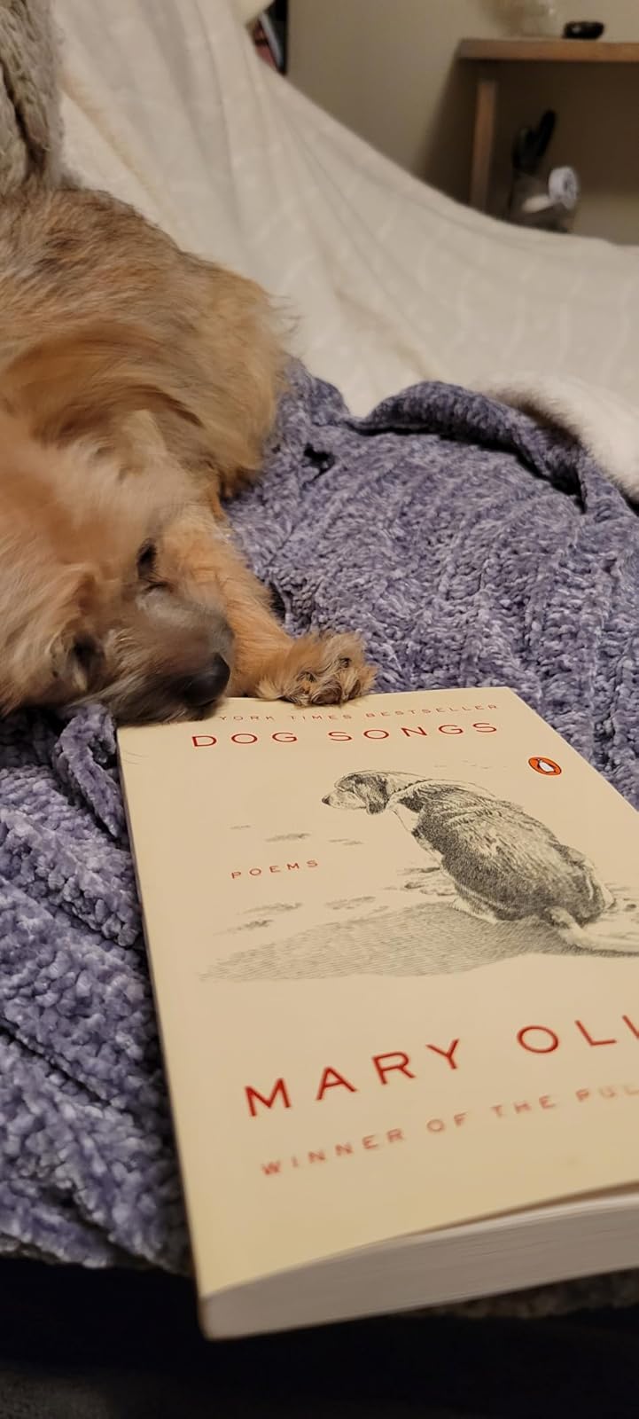Dog-Themed Poetry Collection: Heartfelt Poems for Pet Lovers