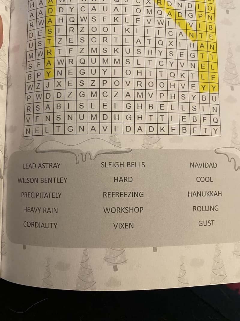 Christmas Word Search Puzzle Book for Adults - 1500 Words, 4 Levels