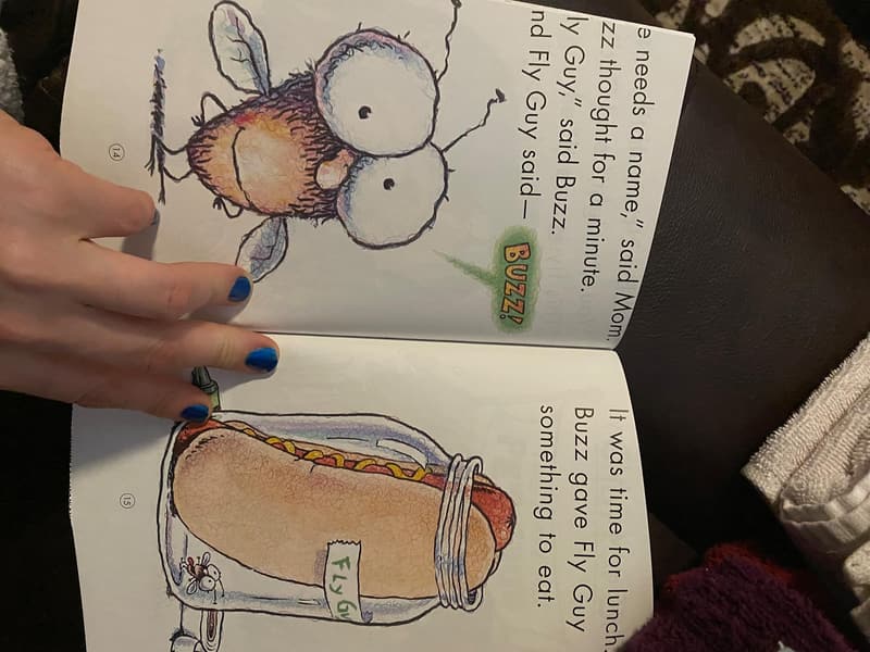 Hi! Fly Guy - Children's Book for Young Readers