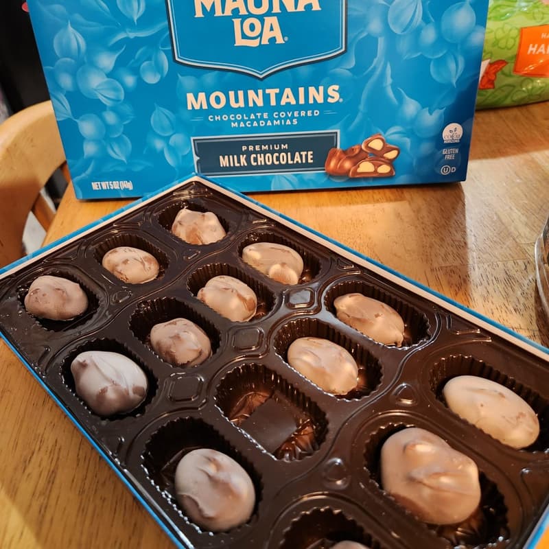 Milk Chocolate Covered Macadamia Nuts - 6 oz Bag